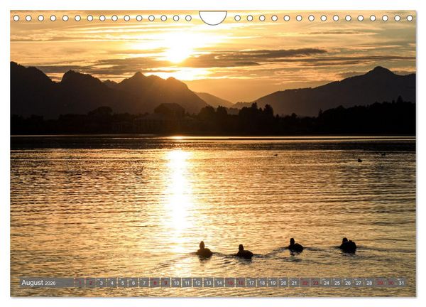 Produktbild: Ostallg&auml;u - Zwischen Aggenstein und Forggensee (Wandkalender 2026 DIN A4 quer), CALVENDO Monatskalender