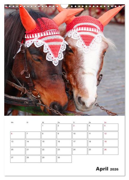 Produktbild: Rheinsberg mit Hafendorf (Wandkalender 2026 DIN A3 hoch), CALVENDO Monatskalender