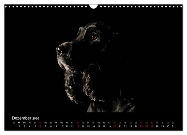 Produktbild: Dogs (Wandkalender 2026 DIN A3 quer), CALVENDO Monatskalender