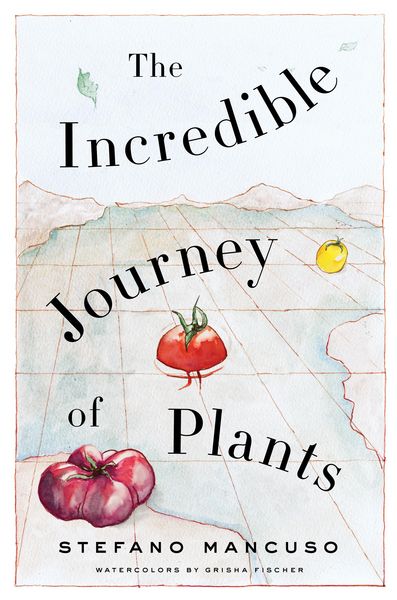 Produktbild: The Incredible Journey of Plants