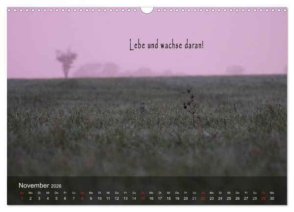 Produktbild: wundersch&ouml;ne Lichtmomente (Wandkalender 2026 DIN A3 quer), CALVENDO Monatskalender