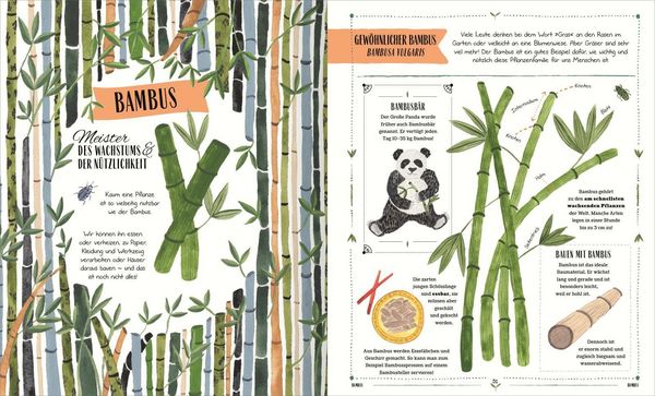Produktbild: Im Garten