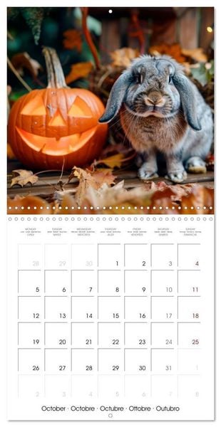 Produktbild: RABBITS Cuddly little guys (Wall Calendar 2026 12 &times; 12 Inch) CALVENDO 12 Month Wall Calendar