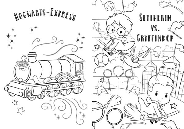 Wizarding World™ - Malspass