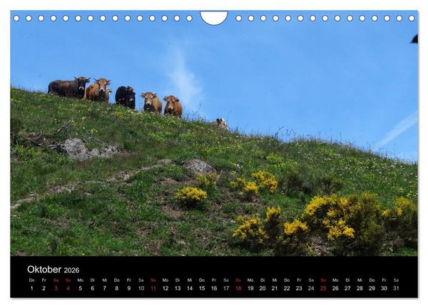Produktbild: Ard&egrave;che &middot; Wandergebirge und Kajakschluchten in S&uuml;dfrankreich (Wandkalender 2026 DIN A4 quer), CALVENDO Monatskalender