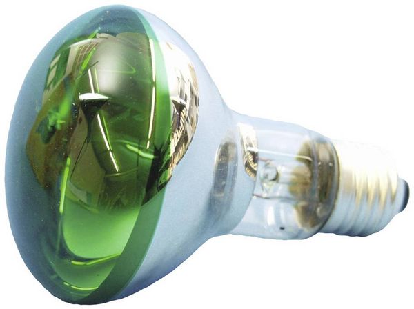 Produktbild: Eurolite 9210410U Gl&uuml;hlampe E27 Reflektor 60W Gr&uuml;n (&Oslash; x L) 80mm x 110mm 1St.