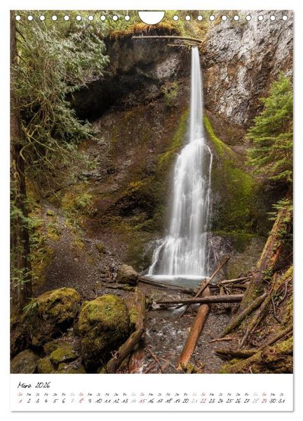 Produktbild: Weltnaturerbe Olympic National Park (Wandkalender 2026 DIN A4 hoch), CALVENDO Monatskalender