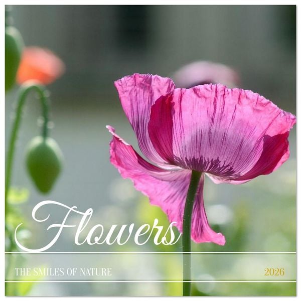 Produktbild: ENCHANTING FLOWERS (Wall Calendar 2026 12 &times; 12 Inch) CALVENDO 12 Month Wall Calendar