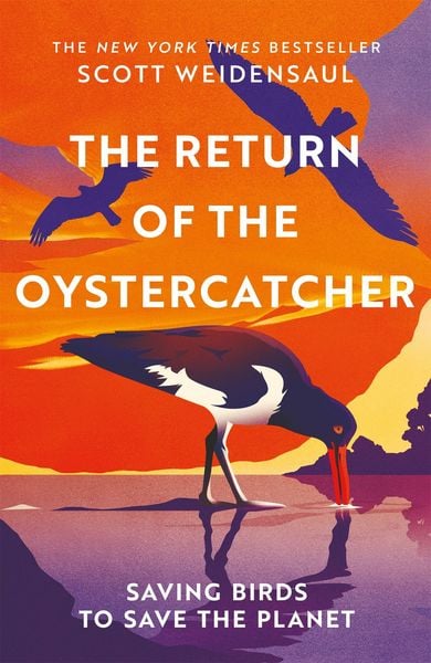 Produktbild: The Return of the Oystercatcher
