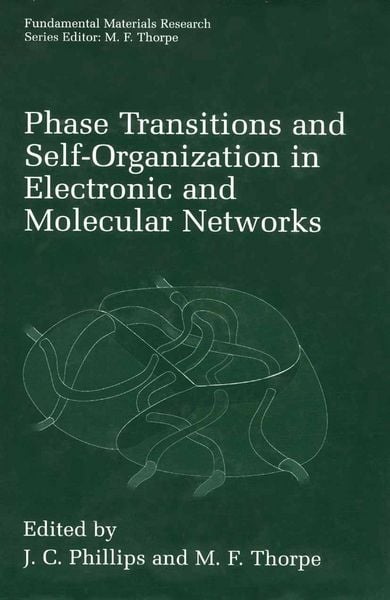 Produktbild: Phase Transitions and Self-Organization in Electronic and Molecular Networks