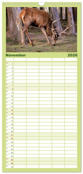 Produktbild: Familienplaner 2026 - Hirsche - K&ouml;nige des Waldes mit 5 Spalten (Wandkalender, 21 x 45 cm) CALVENDO