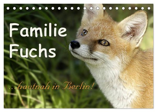 Produktbild: Familie Fuchs hautnah in Berlin (Tischkalender 2026 DIN A5 quer), CALVENDO Monatskalender