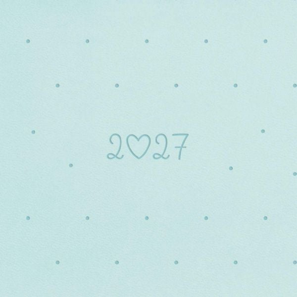 Produktbild: Terminplaner Lederlook 2027 Mint