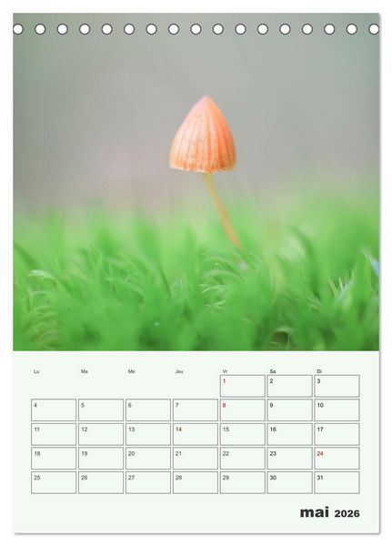Produktbild: Champignons magiques - Beaut&eacute;s &eacute;ph&eacute;m&egrave;res (Calendrier de bureau 2026 DIN A5 horizontal), CALVENDO calendrier mensuel