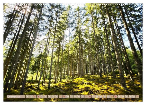 Produktbild: Schweden im Sommer (Wandkalender 2026 DIN A2 quer), CALVENDO Monatskalender