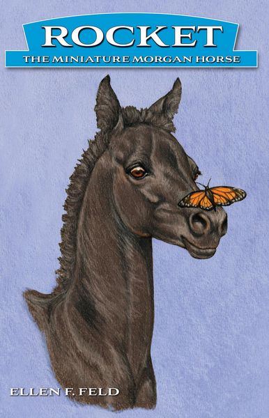 Produktbild: Rocket: The Miniature Morgan Horse, Book 1 (Rocket The Miniature Morgan Horse, #1)