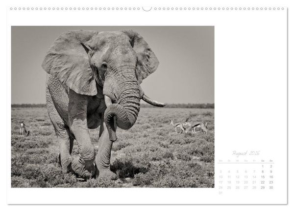 Produktbild: Elefanten in Etosha (Wandkalender 2026 DIN A2 quer), CALVENDO Monatskalender