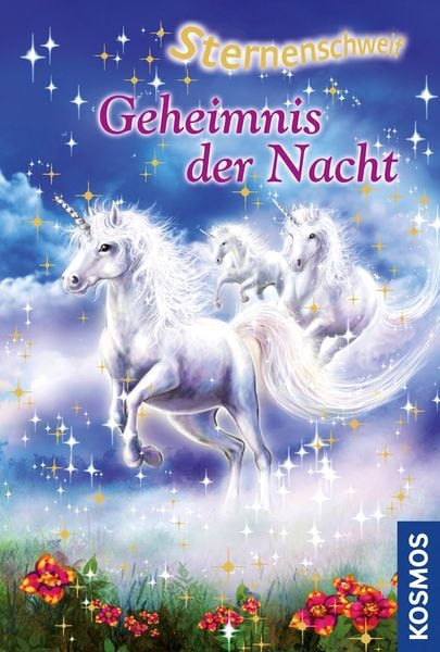 Produktbild: Sternenschweif 24. Geheimnis der Nacht