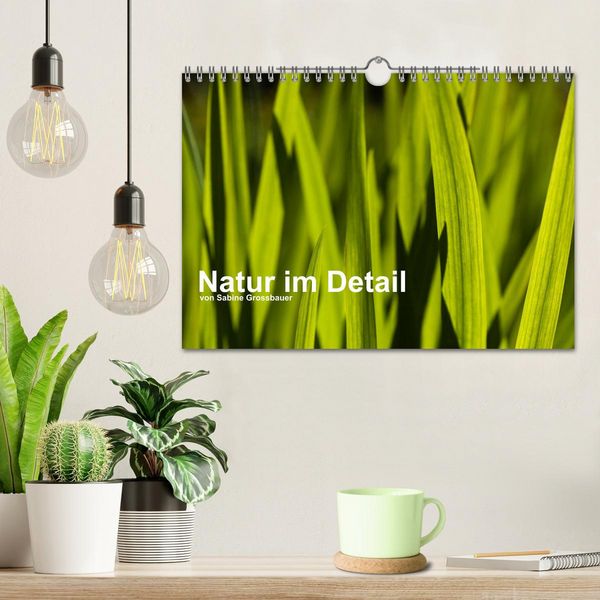 Produktbild: Natur im Detail (Wandkalender 2026 DIN A4 quer), CALVENDO Monatskalender