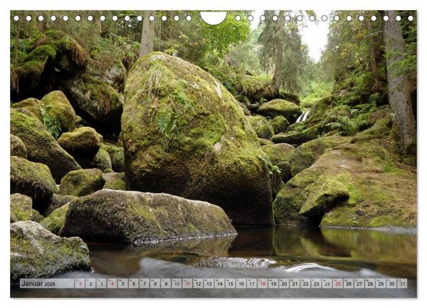 Produktbild: S&uuml;dschwarzwald - Impressionen (Wandkalender 2026 DIN A4 quer), CALVENDO Monatskalender