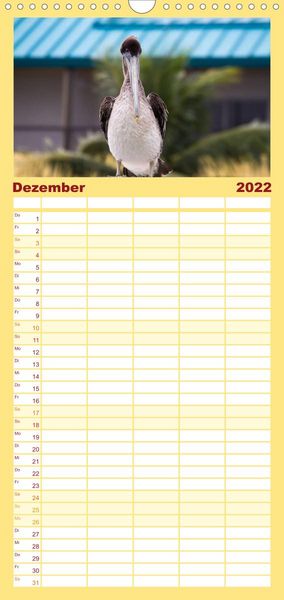 Produktbild: Familienplaner Florida - Sonne, Str&auml;nde und Naturparks (Wandkalender 2022 , 21 cm x 45 cm, hoch)