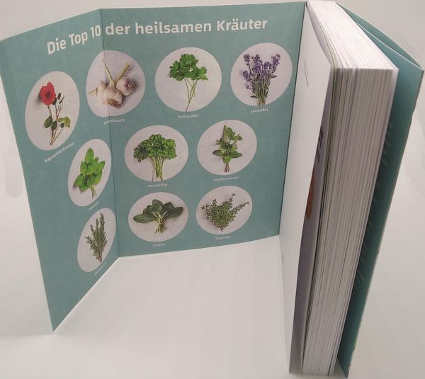 Produktbild: 10 Kr&auml;uter gegen 100 Krankheiten