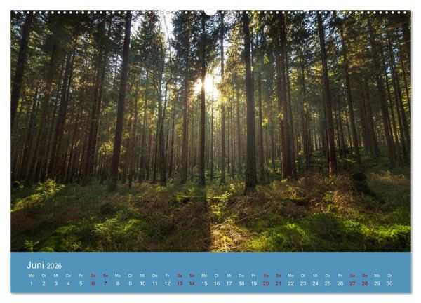Produktbild: Harz Impressionen (hochwertiger Premium Wandkalender 2026 DIN A2 quer), Kunstdruck in Hochglanz
