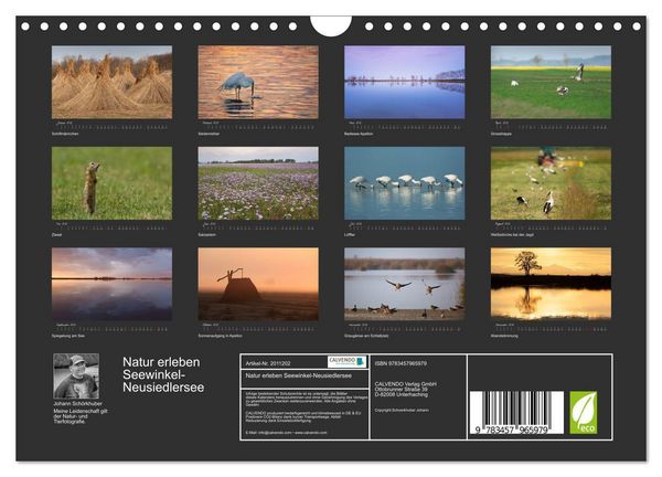 Produktbild: Natur erleben Seewinkel-Neusiedlersee (Wandkalender 2026 DIN A4 quer), CALVENDO Monatskalender
