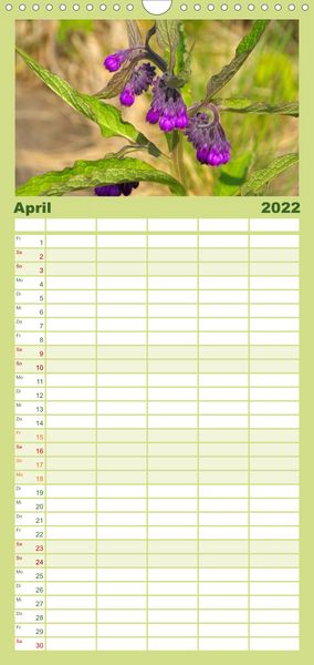 Produktbild: Familienplaner Arzneipflanzen (Wandkalender 2022 , 21 cm x 45 cm, hoch)