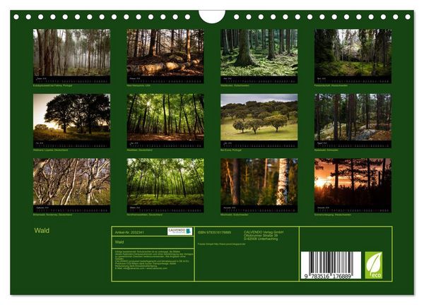 Produktbild: Wald (Wandkalender 2026 DIN A4 quer), CALVENDO Monatskalender