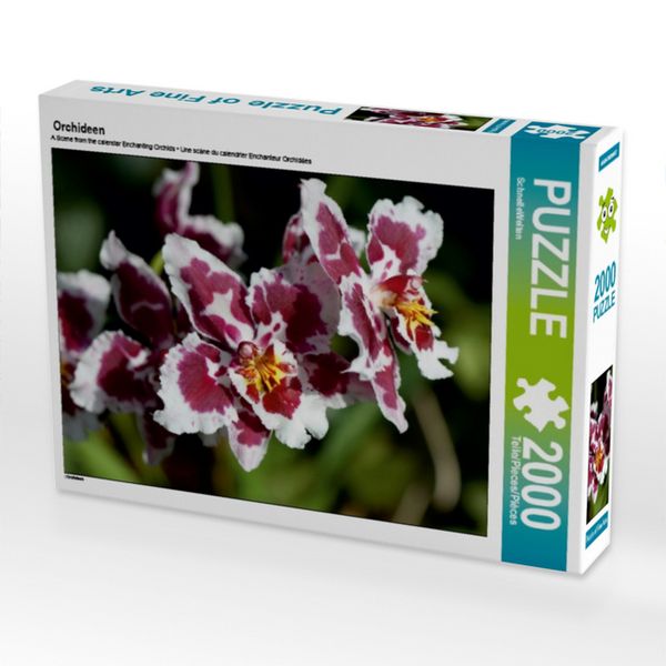 Orchideen (Puzzle)