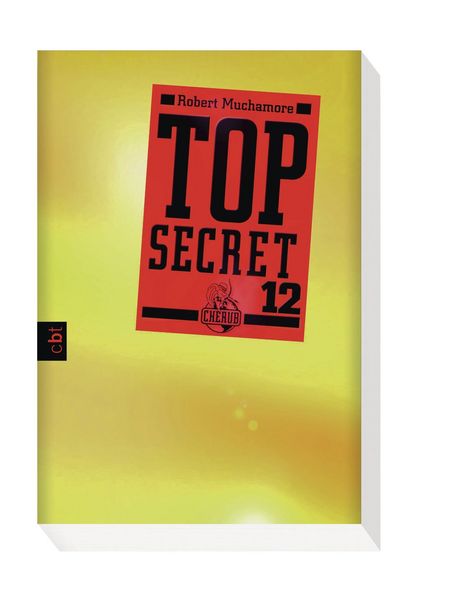 Produktbild: Top Secret 12 - Die Entscheidung