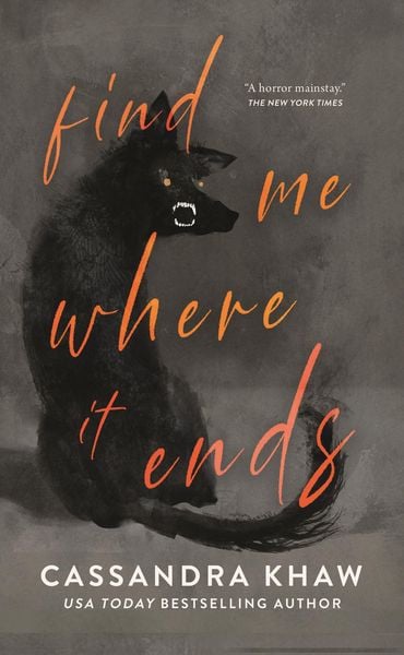 Produktbild: Find Me Where It Ends