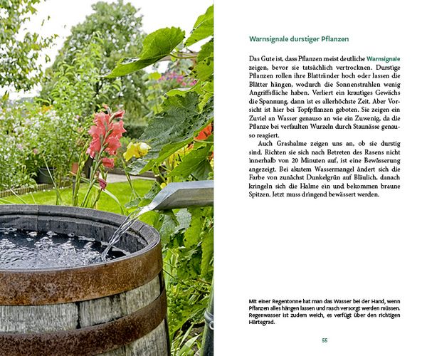 Produktbild: G&auml;rtnern im Wandel