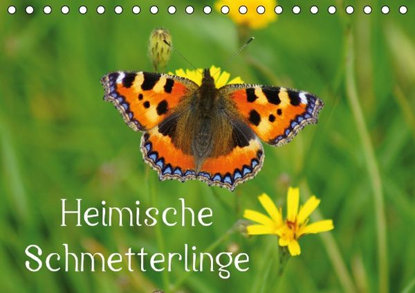 Produktbild: Heimische Schmetterlinge / Geburtstagskalender (Tischkalender immerw&auml;hrend DIN A5 quer)