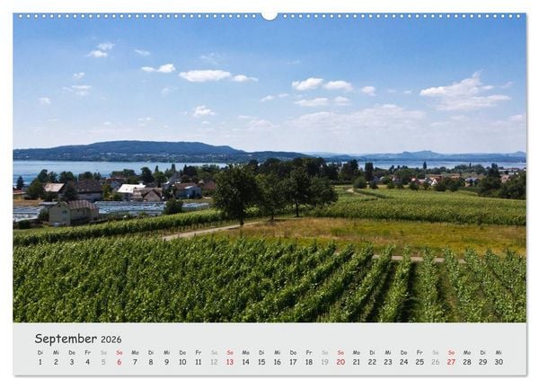 Produktbild: Insel Reichenau - Klosterinsel im Bodensee (hochwertiger Premium Wandkalender 2026 DIN A2 quer), Kunstdruck in Hochglanz