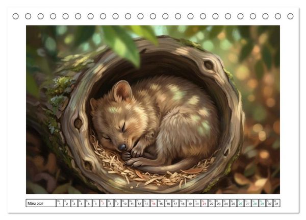 Produktbild: Quokkas - Gl&uuml;ckliche Momente im australischen Busch (Tischkalender 2027 DIN A5 quer), CALVENDO Monatskalender