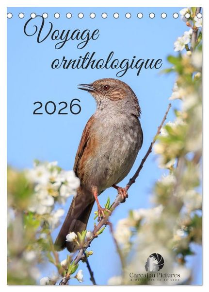 Produktbild: Voyage ornithologique (Calendrier de bureau 2027 DIN A5 horizontal), CALVENDO calendrier mensuel