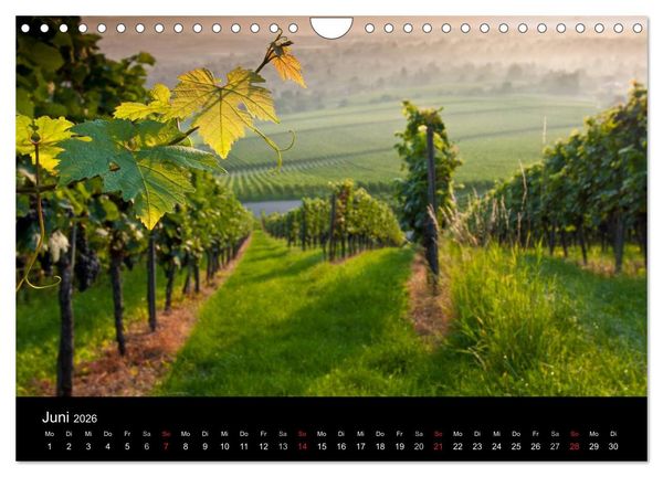 Produktbild: Weinberge im Remstal (Wandkalender 2026 DIN A4 quer), CALVENDO Monatskalender