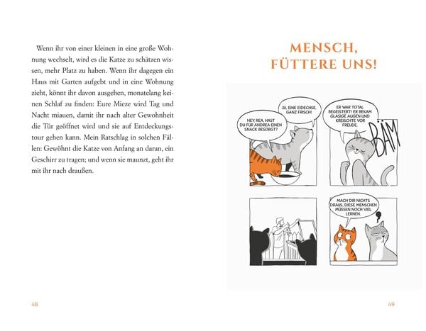 Wie Katzen ihr perfektes Personal finden