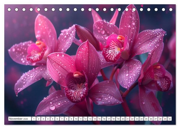 Produktbild: Orchideen - farbenfroh durchs Jahr (Tischkalender 2026 DIN A5 quer), CALVENDO Monatskalender