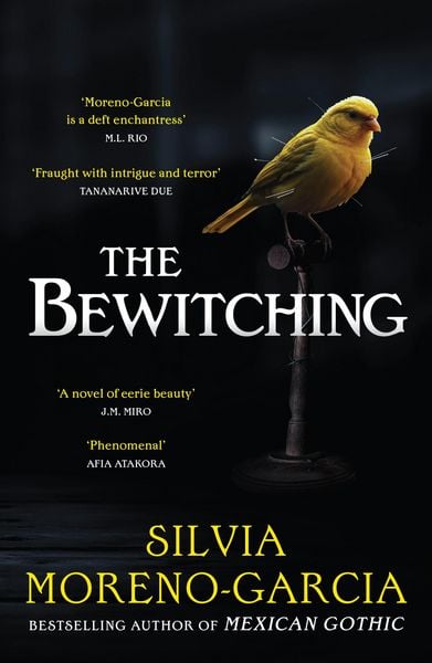 Produktbild: The Bewitching