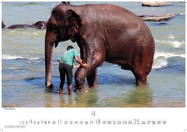 Produktbild: Sri Lanka Kalender 2027 &ndash; Wandkalender | Fotokalender Asien 35x50cm Grosses Format - Hochwertiger f&uuml;r 2027 &ndash; mit atemberaubenden Fotos von Sri Lanka, perfekt f&uuml;r Sri Lanka-Liebhaber