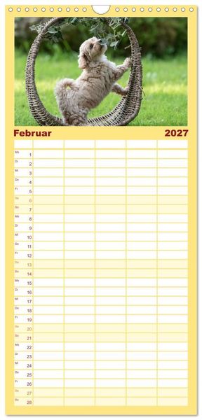 Produktbild: Familienplaner 2027 - Maltipoo Welpen mit 5 Spalten (Wandkalender, 21 x 45 cm) CALVENDO