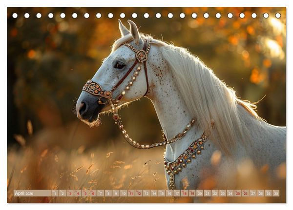 Produktbild: White Horses in Splendor (Desk Calendar 2026 DIN A5 landscape), CALVENDO 12 Month DeskCalendar
