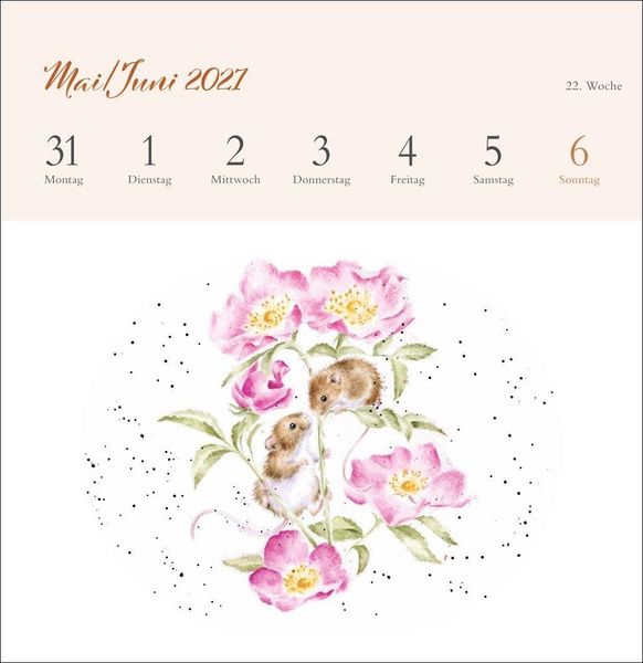 Produktbild: Hannah Dale: Happy Animals Premium-Postkartenkalender 2027