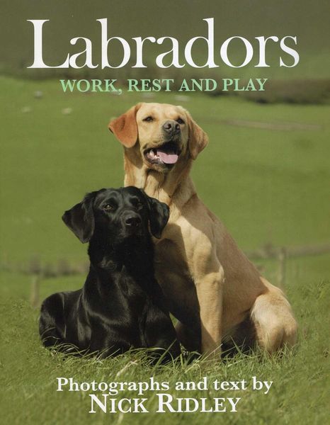 Produktbild: Labradors