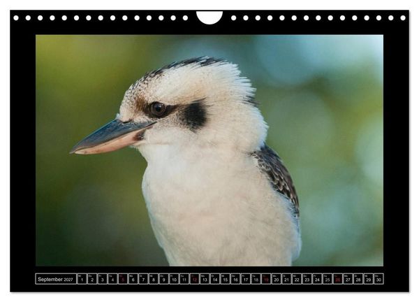 Produktbild: V&ouml;gel von "Down Under" Australien (Wandkalender 2027 DIN A4 quer), CALVENDO Monatskalender