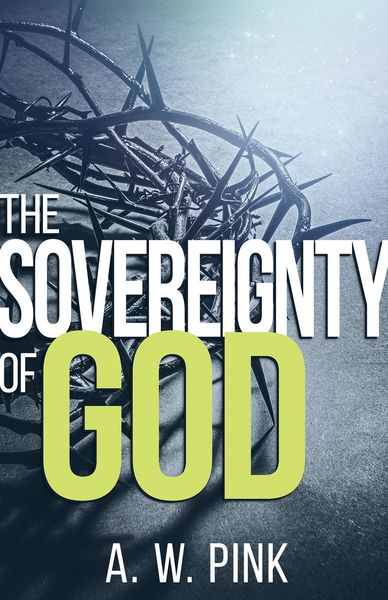 Produktbild: The Sovereignty Of God