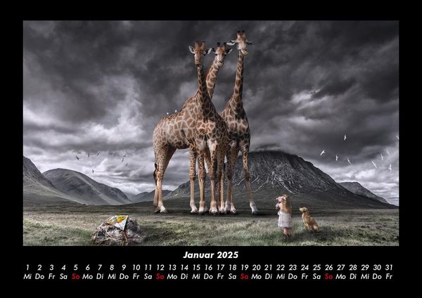 Produktbild: Giraffen 2025 Fotokalender DIN A3